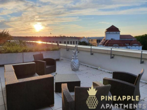 NEW! Pineapple Apartments Penthouse am Zwinger